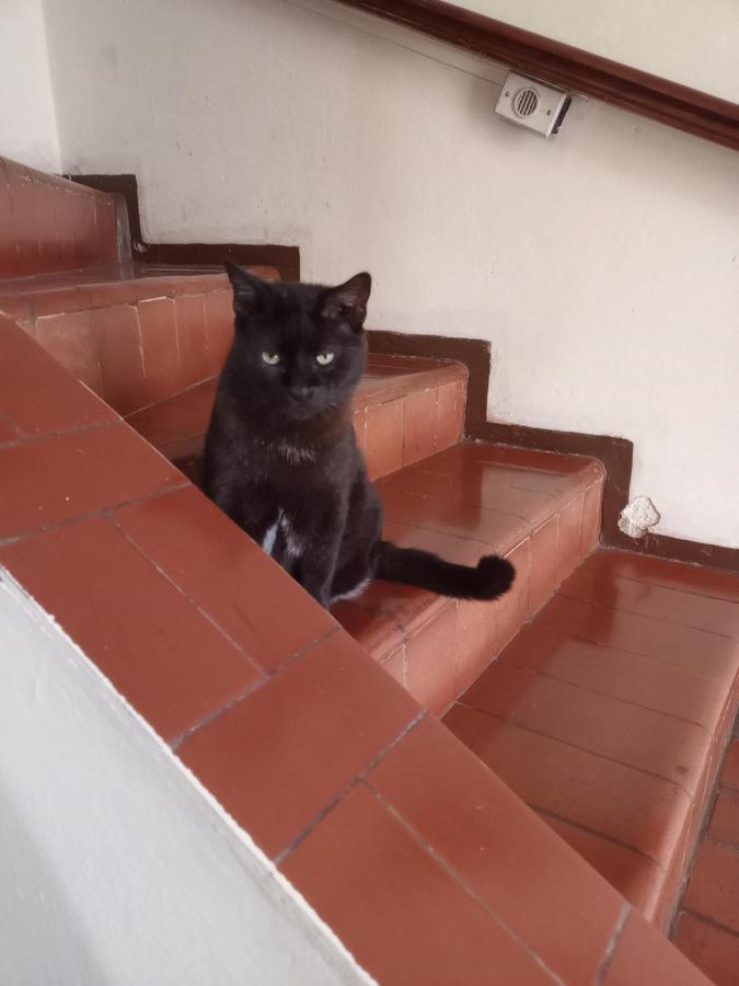 Pousada Lider Águas de São Pedro Exterior foto